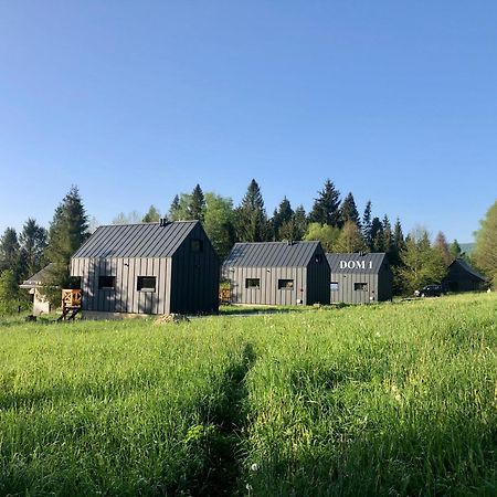 Bieszczadzka Laka Villa Kalnica  Eksteriør billede