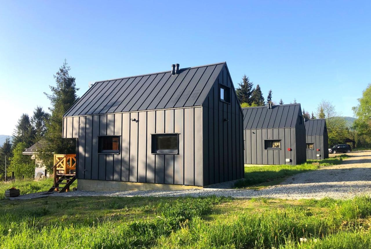 Bieszczadzka Laka Villa Kalnica  Eksteriør billede