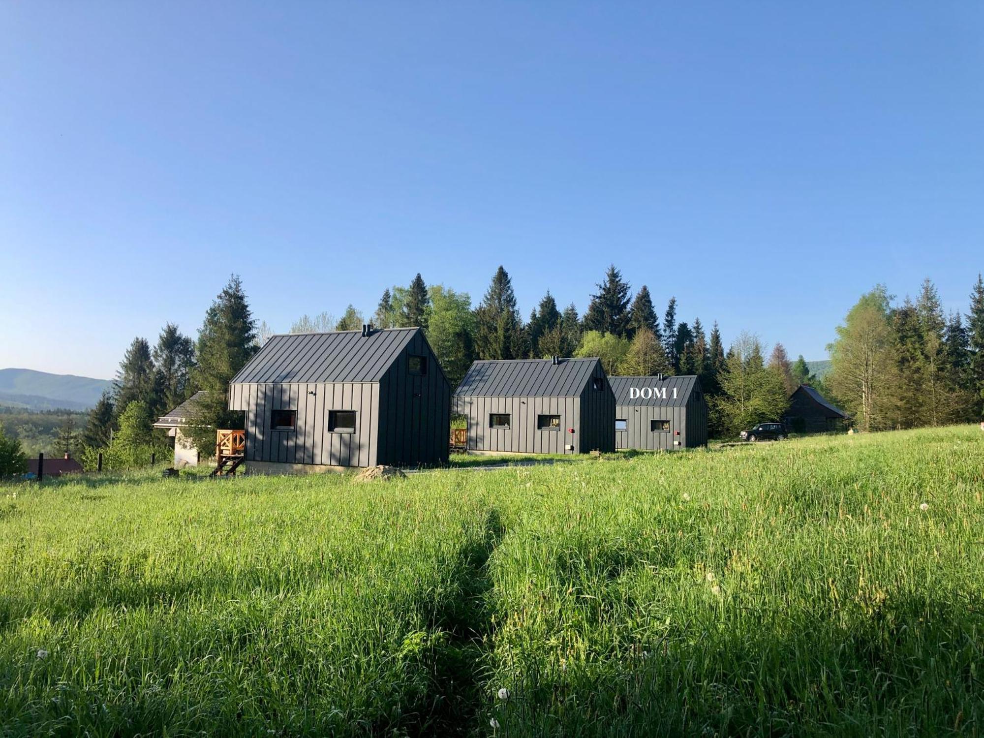 Bieszczadzka Laka Villa Kalnica  Eksteriør billede